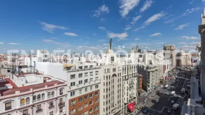 Apartment in Palacio photo 12
