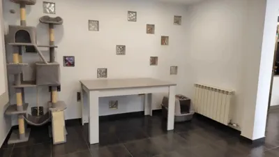 Flat on Carrer del Migdia photo 53
