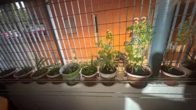 Flat in Orcasur photo 3