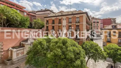 Apartment in Palacio photo 25