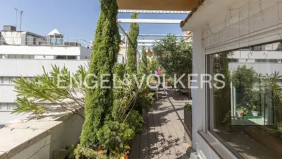 Apartment on Calle de la Alameda photo 2