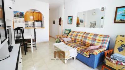 Pis – Guardamar del Segura, Urbanització Pinar de Guardamar - Més