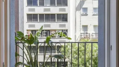 Apartment in Goya photo 15