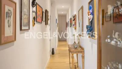 Flat on Doctor Castelo Street photo 10