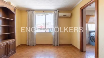 Apartment in Nou Moles photo 3