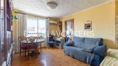 Apartment in Nou Moles photo 9