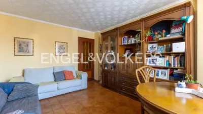 Apartment in Nou Moles photo 5