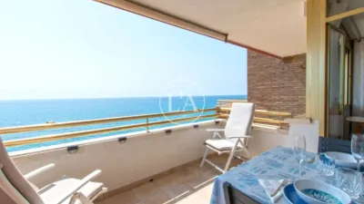 Apartment on Passeig del Mediterrani photo 3