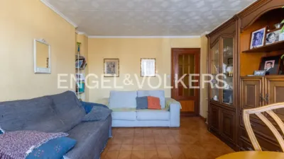 Apartment in Nou Moles photo 8