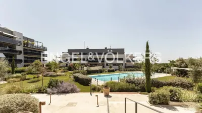 Penthouse in Can Girona-Terramar-Vinyet photo 7
