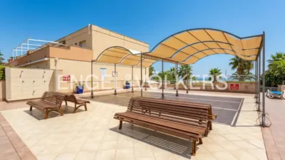 Apartment in Les Salines-Clot del Bassó-Mota de Sant Pere photo 13