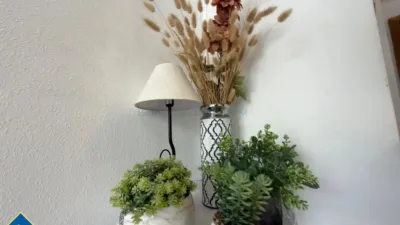 Apartment in Playa del Cura photo 22