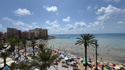 Apartment in Playa del Cura photo 19