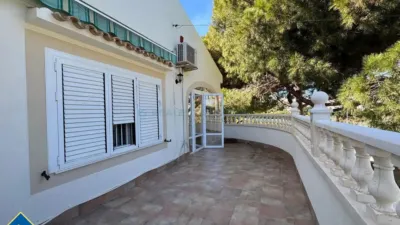 Chalet in Cabo Roig-La Zenia-La Regia photo 13