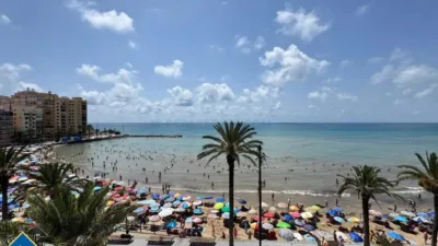 Apartment in Playa del Cura photo 18