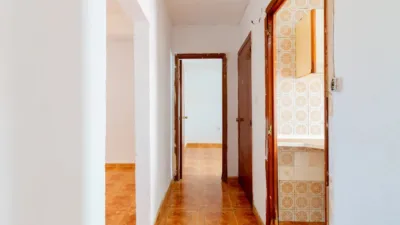 Apartment in Zofío photo 20