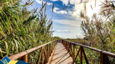 Chalet in Aguas Nuevas-Torreblanca-Sector 25 photo 48