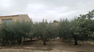 House on Camino de La Balsa Street photo 8