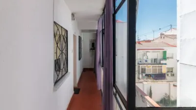 Apartment in Zofío photo 26