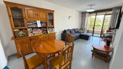 Apartment in Guardamar Playa photo 4