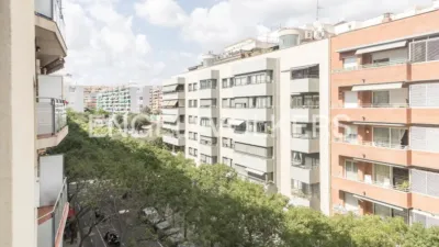 Piso en Les Corts photo 3