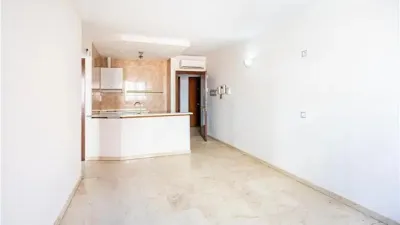 Apartment in Arxiduc photo 4