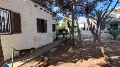 Chalet in Cabo Roig-La Zenia-La Regia photo 14