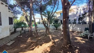 Chalet in Cabo Roig-La Zenia-La Regia photo 11