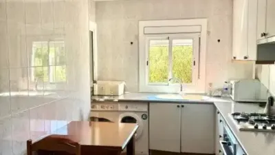 Apartment in Vallbona photo 6