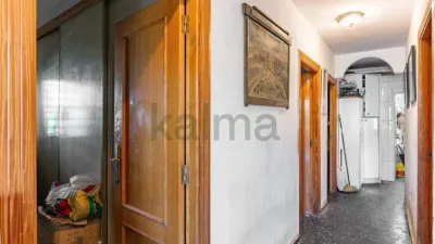Chalet in Partida de Almafra photo 18