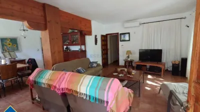 Chalet in Cabo Roig-La Zenia-La Regia photo 15