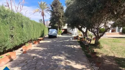 Chalet in Cabo Roig-La Zenia-La Regia photo 10