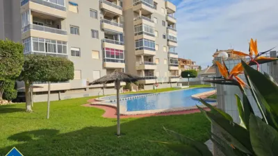 Piso – Torrevieja, El Palmeral - Vista 3