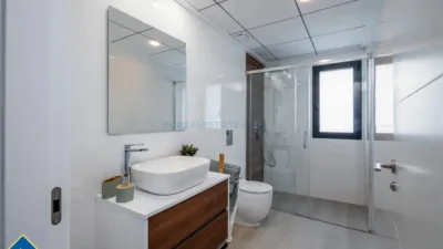Chalet in Algorfa photo 5