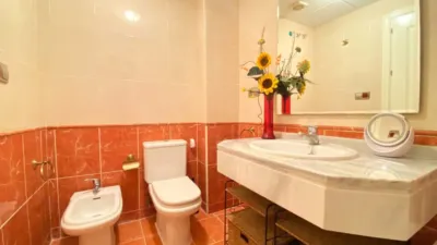 Studio in Calle de las Encinas photo 12