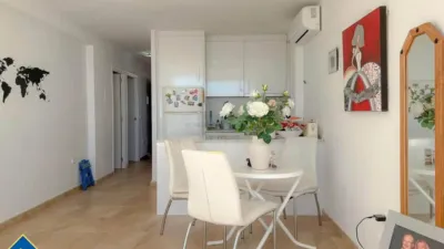Apartment in Playa de los Locos-Los Frutales-Cabo Cervera photo 19