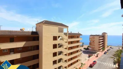 Apartment in Playa de los Locos-Los Frutales-Cabo Cervera photo 5