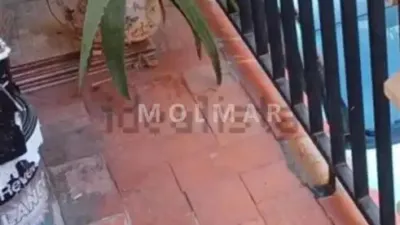 Apartment in Poble Nou photo 8