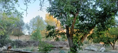 Chalet on Calle Diseminado photo 46