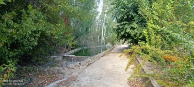 Chalet on Calle Diseminado photo 33