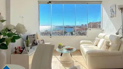 Apartment in Playa de los Locos-Los Frutales-Cabo Cervera photo 4