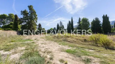 Rustic house in Pego photo 72