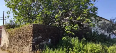 House on Carretera de la Serradilla photo 8