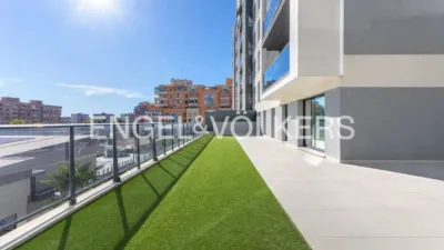 Apartment in Sant Pau photo 23