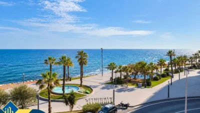 Pis – Torrevieja - Vista 3