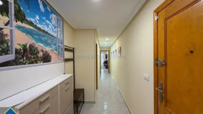 Piso – Torrevieja - Vista 3
