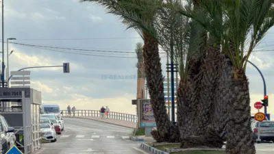 Pis – Torrevieja - Vista 3