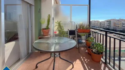 Pis – Torrevieja - Vista 4
