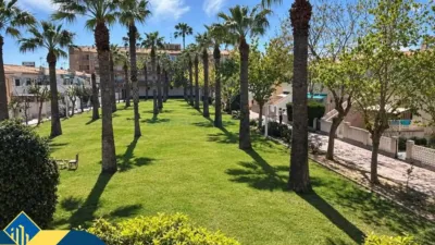 Piso – Orihuela - Vista 3