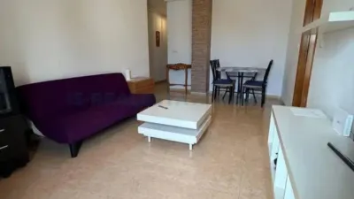 Pis – Torrevieja, Europa - Vista 3